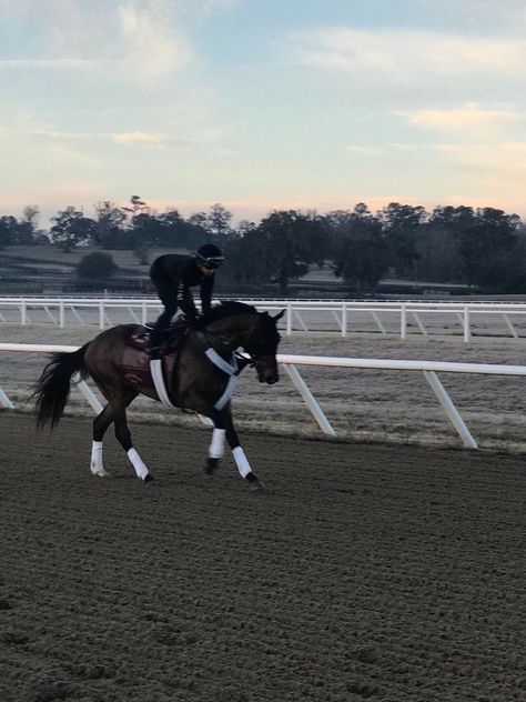 Horse Boy Aesthetic, Racehorse Aesthetic, Horse Race Aesthetic, Horseback Riding Aesthetic, Jockey Aesthetic, Horse Girl Aesthetic, Horse Riding Aesthetic, Horse Competition, Thoroughbred Horse Racing