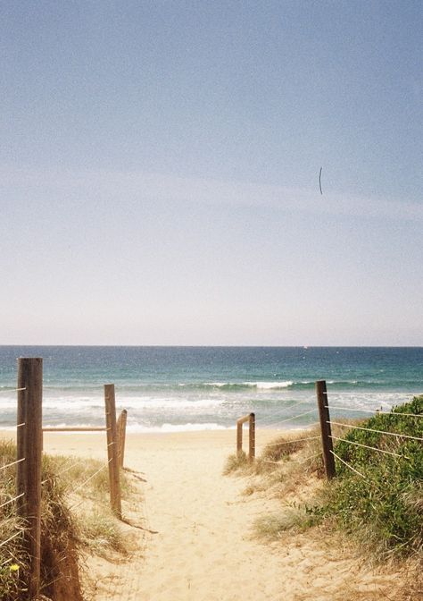 #disposable #film #summer #beach #spring #aesthetic #waves #surfing Beach On Film Aesthetic, Old Beach Aesthetic, Beach Film Aesthetic, 70s Beach Aesthetic, 90s Beach Aesthetic, 60s Beach Aesthetic, Vintage Beach Aesthetic, Beach On Film, Summer On Film