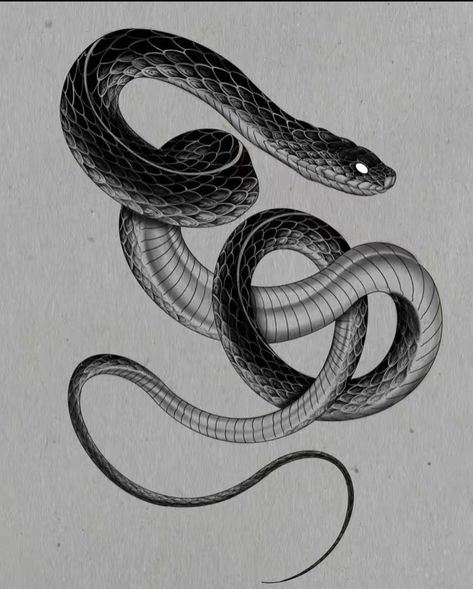 Drawing Of Snake, Black Snake Art, Snake Tatoos, Bjj Tattoo, Black Snake Tattoo, Atlas Tattoo, Cobra Tattoo, Around Arm Tattoo, Black And White Snake