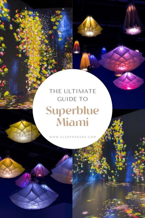 A complete guide with all you need to plan your visit to Superblue Miami, a futuristic, interactive, and technology-based museum and one of the city's top attractions Superblue Miami, Usa Trip, Miami Travel, Florida Trip, January 2023, Florida Travel, Miami Beach, Dream Vacations, Spring Break