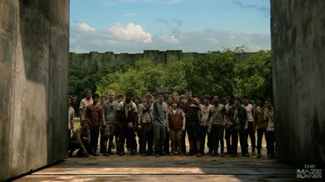 The Maze Runner, Maze Runner