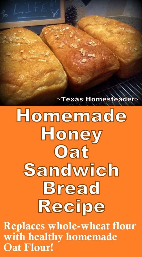 Healthy Soft Honey / Oat Sandwich Bread Recipe. ~ Texas Homesteader ~ Oat Flour Yeast Bread Recipes, Bread Made With Oat Flour, Oat Flour Sandwich Bread, Oat Flour Yeast Bread, Healthy Oat Bread, Oat Flour Bread Machine Recipes, How To Make Oat Flour From Oats, Oatmeal Flour Bread, Oat Bread Recipe No Flour