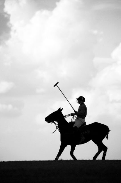 St Regis New York, Nacho Figueras, Study Wall, Polo Horse, Polo Team, Sport Of Kings, Polo Match, Where It All Began, Polo Pony