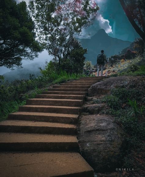 Adam's peak is the one of highest mountains in Sri Lanka 🇱🇰 Sri Lankan Buddhism people believe Lord Buddha came to top of mountain & marked the footprint in here. so this is historical destination in here #srilanka #adam'speak #nik #nikila Sri Lankan Beautiful Places, Travel Photography Srilanka, Top Of Mountain, Srilanka Tourism, Adam's Peak Sri Lanka, Adam's Peak, Yala National Park Sri Lanka, Adam’s Peak Sri Lanka, Feeling Pictures