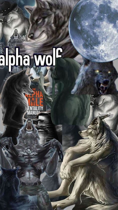 ALPHA SIGMA YES   #alphasigmarizzler #rizz #alpha #wallpaper Alpha Wallpaper, Sigma Wallpaper, Wolf Meme, Wolf Images, Alpha Wolf, Alpha Sigma, Wolf Wallpaper, Alpha Sigma Alpha, Get Off Me