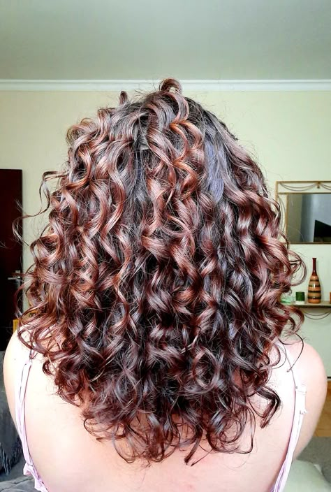 Dimensional Curly Hair Color, Brown With Red Undertones Curly Hair, Curly Hair With Dyed Ends, Curly Hair Lowlights Brown Curls, Curly Lowlights, Curly Red Highlights, Curly Hair Ombre Balayage, Curly Hair Red Highlights, Red Highlights Curly Hair