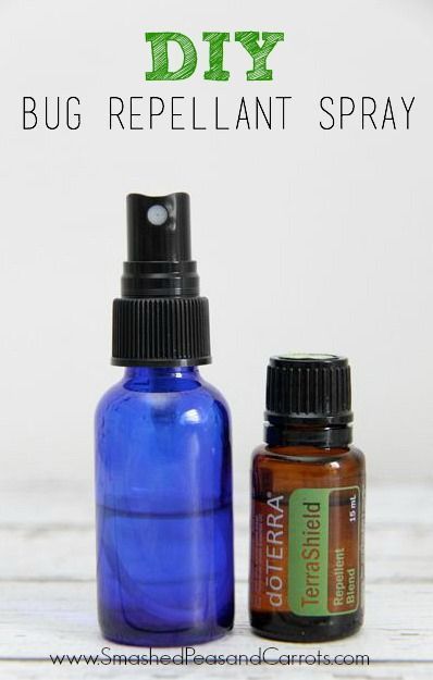 Learn how to make your own easy DIY Bug Repellant using doTERRA TerraShield Essential Oil Blend. Terra Shield Bug Spray Recipe, Doterra Terrashield Bug Spray Recipe, Terrashield Spray Recipe, Doterra Bug Spray Recipe, Terra Shield Doterra, Doterra Terrashield, Homemade Essentials, Essential Oil Bug Repellent, Toxic Household