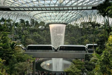 Invest in Your Best Vision for Our Future - Retire Before Dad Airport Architecture, Moshe Safdie, Singapore Changi Airport, Changi Airport, Indoor Waterfall, Sunflower Garden, Trees Nature, City Pictures, Future City