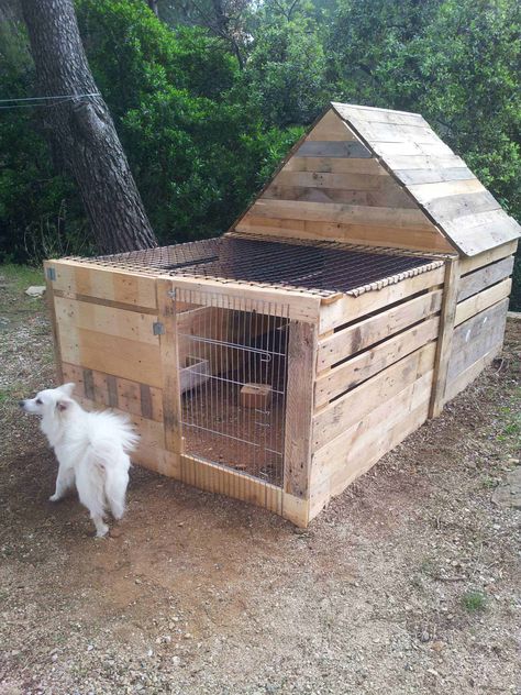 Wood Pallet Ideas, Rabbit House, Apartment Floor, 1001 Pallets, Building A Chicken Coop, Recycled Pallets, Pallet Crafts, Wood Pallet Projects, Pallet Art