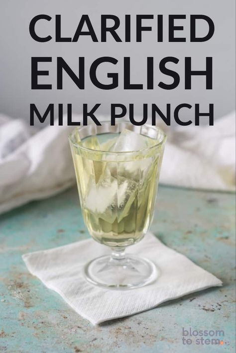 Clarified English Milk Punch. A clear punch with citrus, green tea, rum, cognac, Batavia Arrack and spices clarified with milk. So good! #cocktails #punch #holidayentertaining Clarified Milk Punch, Milk Punch Recipe, Citrus Green Tea, Good Cocktails, Vodka Punch, Milk Punch, Adult Beverages Recipes, Punch Cocktails, Gin Recipes