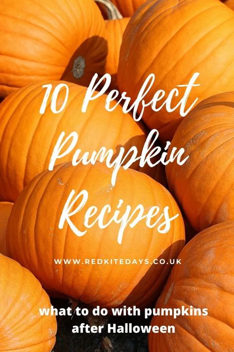 Jack O Lantern Pumpkin Recipes, Carving Pumpkin Recipes, Jack O Lantern Recipes, What To Do With Pumpkins After Halloween, What To Do With A Pumpkin, Pumpkin Recipes With Real Pumpkin, What To Do With Pumpkins, Healthy Filling Breakfast, Spicy Pumpkin Soup