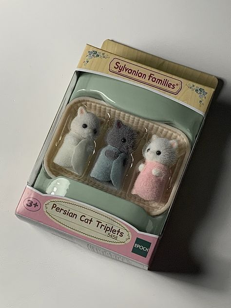 Beatopia Aesthetic, Critters 3, Calico Critters Families, Sonny Angel, Persian Cat, Cute Stuffed Animals, Cute Little Things, Sylvanian Families, Cute Toys