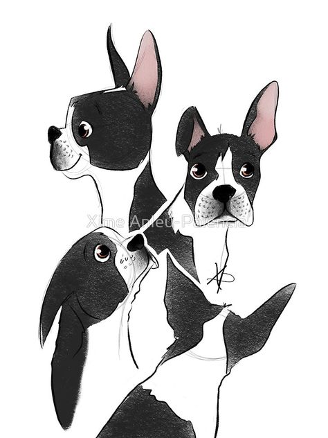 Boston Terrier Illustration, Terrier Illustration, Brindle Boston Terrier, Red Boston Terriers, English Terrier, Boston Terrier Art, Boston Terrier Funny, American Bull, Damselflies