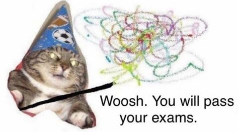 Good luck from the wizard cat A Cat, Memes