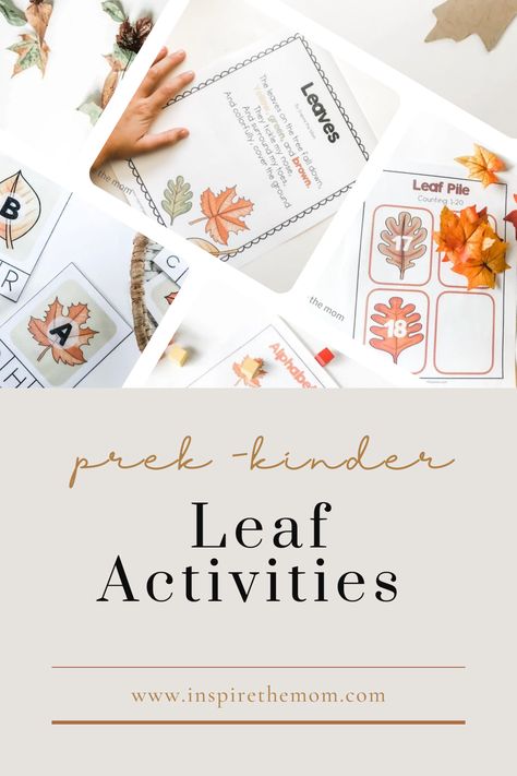 Learning about leaves with your kids? Check out these activities, books, games, and crafts ideas that are all about leaves! #leaf activities #fall leaves #fall leaf activities #leaf activities for preschool #kindergarten #fall activities #fall printables #leaf crafts #leaf activities Tree And Leaf Activities For Preschool, Leaf Activities For Preschool, Fall Leaf Activities, Kindergarten Fall Activities, Leaves Activities, Literacy Crafts, Fall Leaves Activities, Leaf Hunt, Leaf Lessons