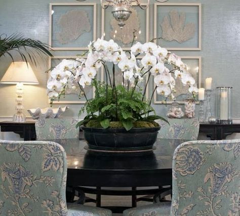 Jo Traveler: Orchids at Home Feng Shui Colors, Set Meja Makan, House Dining Room, Furniture Black, Black Dining, Shabby Chic Living, Decor Ikea, Shabby Chic Living Room, Chic Living Room