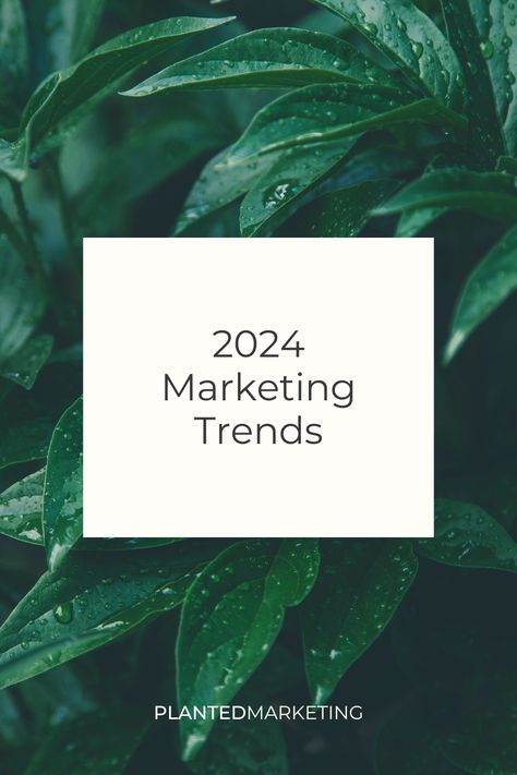 2024 marketing trends Marketing Campaign Ideas, Funny Marketing, Traditional Advertising, Product Placement, Crystal Balls, Audience Engagement, Marketing Resources, Marketing Campaign, Spoiler Alert