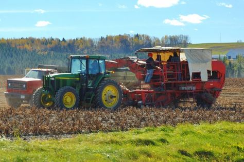 Potato harvest in full swing in Aroostook County Garrett Hedlund Triple Frontier, Gordon Skagit Farm, Aroostook County, Peaks Island, Northern Maine, Maine Travel, Mississippi River, Lake Superior, Special Places