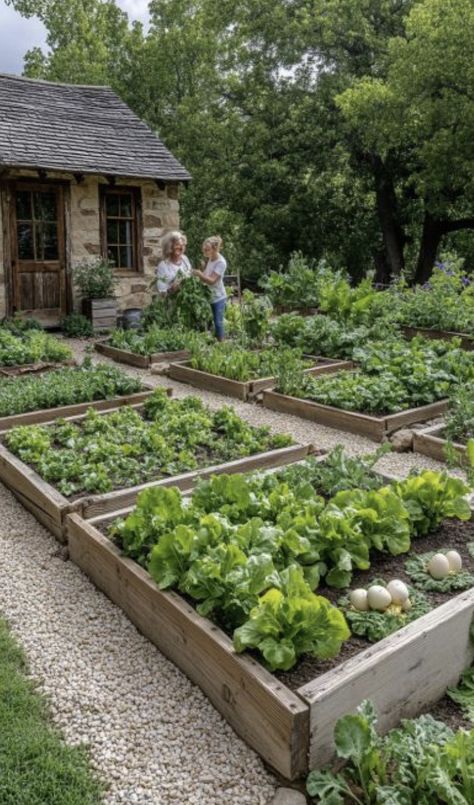 Home Vegetable Garden Aesthetic, Home Veggie Garden Aesthetic, Small Farming Ideas, Homestead Garden Aesthetic, Louisiana Vegetable Garden, Self Sufficient Farm, Home Farm Garden, Home Grown Food, Farm Living Aesthetic