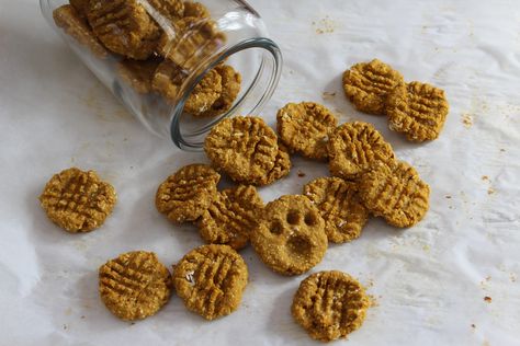 Sweet Potato and Banana "Barkies" (Dog Cookies) | epicuricloud (Tina Verrelli) Dog Cookie Recipes, Sweet Potato Dog Treats, Sweet Potato Cookies, Homemade Dog Cookies, Sweet Potatoes For Dogs, Dog Biscuit Recipes, Easy Dog Treats, Healthy Dog Treats Homemade, Cookie Recipes Homemade