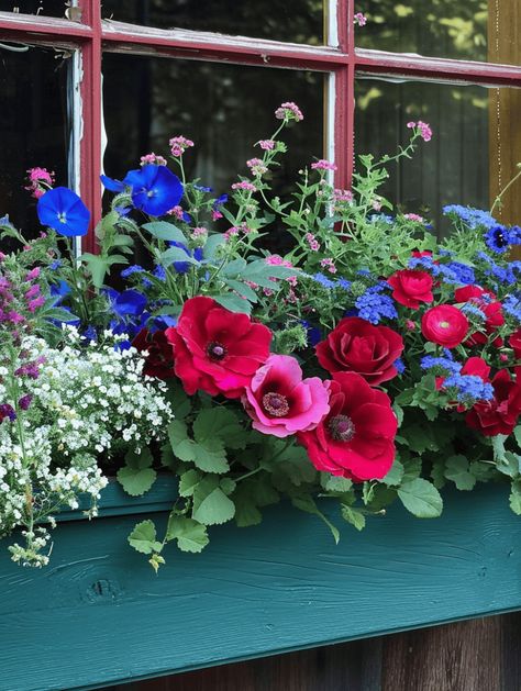 Window Box Ideas: Colorful Flower Box with Red Frames Red Geranium Window Boxes, Window Box Planting Ideas, Colorful Window Boxes, Potted Geraniums Ideas, Planter Box Ideas Flowers, Flower Box Ideas Full Sun, Flower Window Boxes Ideas, Sunny Window Box Flowers, Window Flower Box Ideas Full Sun