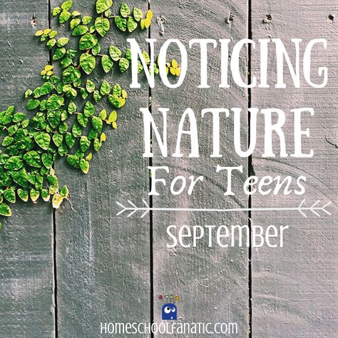 Homeschool Nature Journal, Natural Resources Lesson, Nature Experiments, Nature Games, Teen Bible Study, Nature Lessons, Unit Studies Homeschool, Nature Projects, Nature School