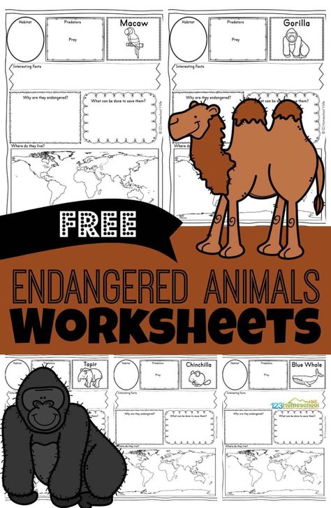 Children will love learning about these fascinating animals from around the world that are sadly endangered animals. Grab these free printable Endangered Animals Worksheets for kindergarten, first grade, 2nd grade, 3rd grade, 4th grade, 5th grade, and 6th grade students to make learning about animals fun and easy! Endangered Species Activities, Endangered Animals Activities, Endangered Species Project, Endangered Animals Project, Animals Worksheet, Animal Report, Animal Lessons, Animal Life Cycles, Animal Classification