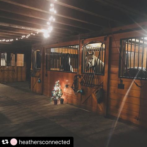 Horse Barn Christmas Decorations, Revenge Series, Morgan Elizabeth, Christmas Horse, Horse Stable, Christmas Horses, Horse Farm, Horse Stables, Horse Barns