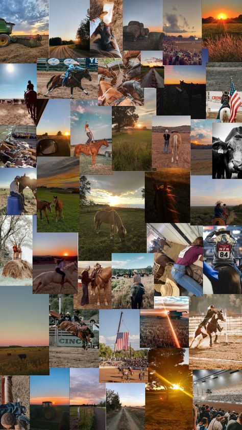 #lilliecore #westernaesthetic #countrylife #country #sunsets #cowgirls Country Collage Wallpapers, Lifestyle Collage, Country Collage, Sunsets Aesthetic, Life Collage, Collage Wallpapers, Country Sunset, Cute Country Couples, Country Backgrounds