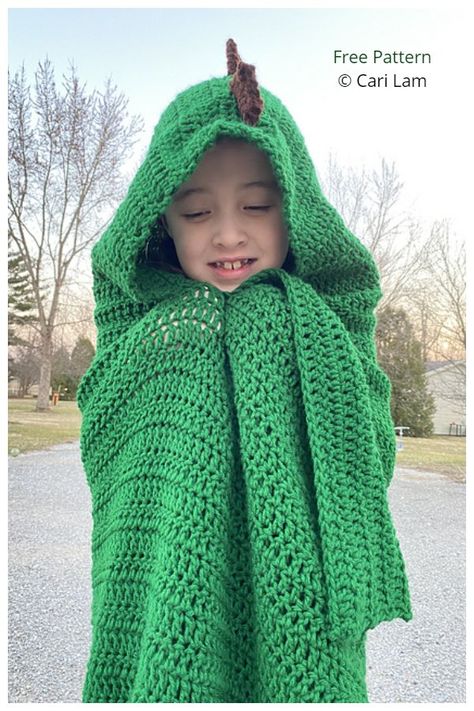 Crochet Dinosaur Blanket, Dinosaur Hooded Blanket, Hooded Blanket Pattern, Crochet Hooded Blanket, Star Crafts, Tiger Blanket, Hooded Scarf Pattern, Crochet Baby Costumes, Crochet Dinosaur Patterns