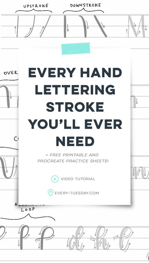 Every Hand Lettering Stroke You'll Ever Need (+ Free Practice Sheets!) - Every-Tuesday Hand Lettering Practice Sheets, Alfabet Font, Brush Lettering Practice, Hand Lettering For Beginners, Hand Lettering Worksheet, Learn Hand Lettering, Calligraphy Lessons, Hand Lettering Styles, Hand Lettering Practice