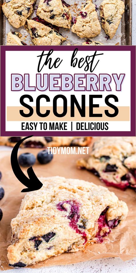 These BLUEBERRY SCONES are bursting with sweet juicy blueberries, have a soft tender crumb and a delicious sugar topping. The recipe is super easy to make and perfect for breakfast or brunch! PRINTABLE RECIPE at TidyMom.net Perfect Scones Recipe, Berry Scones, Blueberry Scones Recipe, Scones Recipe Easy, Sourdough Starter Discard Recipe, Cookies Healthy, Blueberry Breakfast, Blueberry Cream Cheese, Blueberry Scones