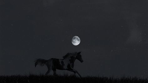 #animales #horse #sky #moon #fullmoon #pinterest #blackandwhite #blackandwhitephotography #photography #landscape #landscapephotography Horse Wallpaper For Laptop, Fantasy Moodboard, Horse Wallpapers, Background Pics, Black Banner, Japanese Drawings, Horse Wallpaper, Logo Design Video, Horse Aesthetic