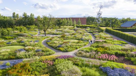 Oudolf Garden, Piet Oudolf, Vitra Design Museum, Vitra Design, Traditional Landscape, Public Garden, Community Gardening, Design Museum, Landscape Architect