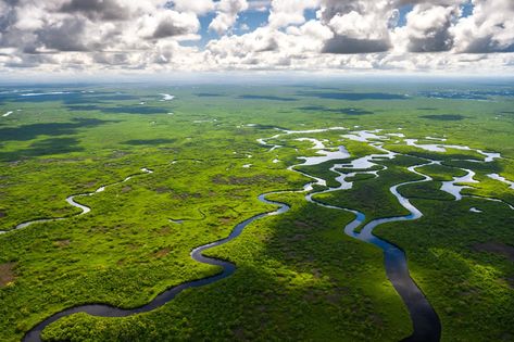 Florida National Parks, Biscayne National Park, Mangrove Swamp, Dry Tortugas National Park, Everglades Florida, Everglades National Park, Florida City, Sanibel Island, Nature Trail