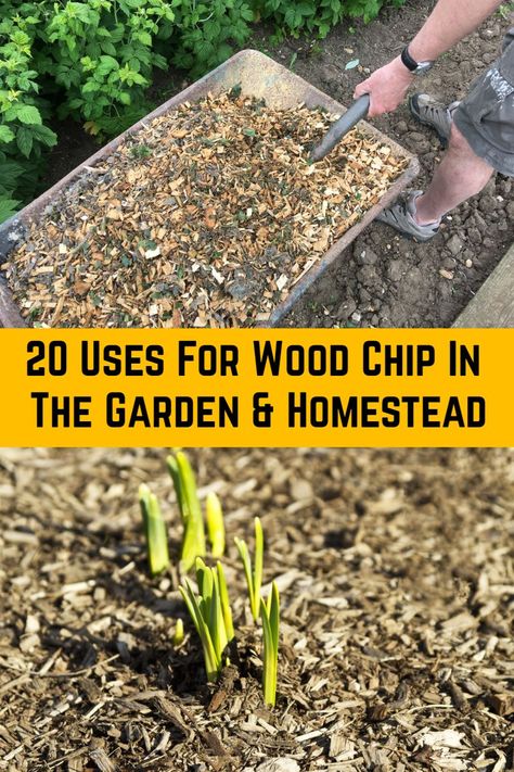 Wood Chippings Garden Ideas, Cedar Wood Chips Landscaping, Wood Chip Garden Ideas, Woodchips Garden Landscaping, Landscaping With Wood Chips, Wood Chips In Chicken Run, Woodchips Garden Ideas, Wood Chip Landscaping, Wood Chips Landscaping Ideas