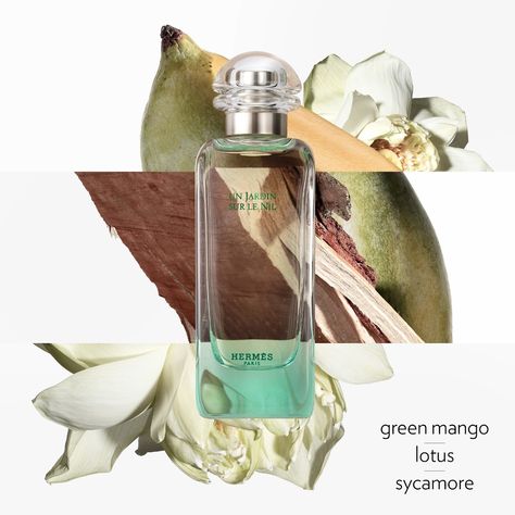 Hermes Fragrance, Paris Green, Sycamore Wood, Green Mango, Lotus Blossom, The Nile, Woody Fragrance, Beauty Gift Sets, Fragrance Notes