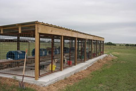 Note: Much like existing kennel, Don't like no cover from weather, etc. Otherwise a simple, neat configuration. Dog kennels - TexasBowhunter.com Community Discussion Forums Hog Fence, Dog Kennel Ideas Outdoor, Kennel Design, Kennel Ideas Outdoor, Building A Dog Kennel, Luxury Dog Kennels, Dog Boarding Kennels, Dog Kennel Designs, Kennel Ideas