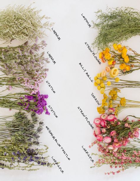 a bunch of dried flowers laid out on white with names Billy Ball Arrangements, Yarrow Flower Bouquet, Wild Flower Types, Dried Yarrow Bouquet, Dried Wild Flower Bouquet, Limonium Flower Bouquet, Fireweed Bouquet, Dried Flower Names, Statice Flower Aesthetic