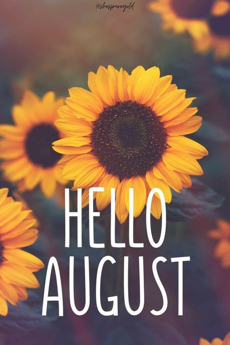 Hello August Images, August Images, Neuer Monat, Welcome August, New Month Quotes, August Quotes, August Wallpaper, Monthly Quotes, Hello June