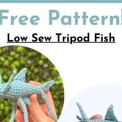 Crochet Fish Fins Free Pattern, Crochet Trout, Tripod Fish, Crochet Big Fish Pattern Free, Tripod Spiderfish, Easy Amigurumi Fish Free Pattern, Crochet Tropical Fish, Crochet Fish Patterns, Crochet Fish