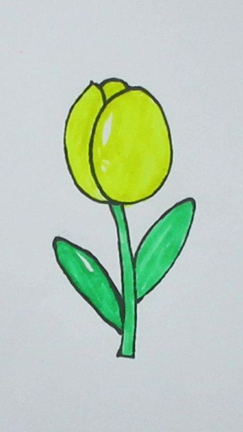 Tulip Flower Drawing, Drawing Beginners, Flower Drawing Tutorials, Yellow Tulips, Tulip Flower, Tulips Flowers, Flower Drawing, Drawing Tutorial, Tulips