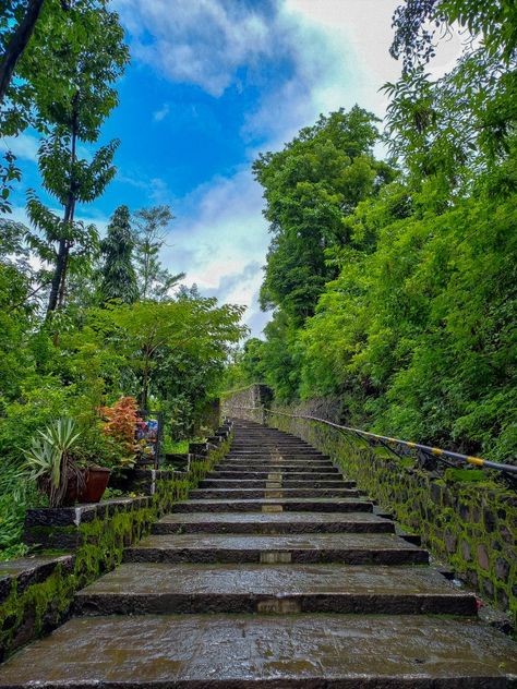 #pinterest #pinterestindia #naturephotography #travelphotography #blueskies #beautiful #naturetrail #khinditilaganpati #satara #maharashtra #india Stairs, India, Plants