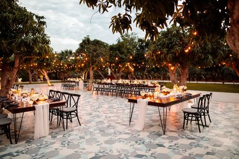 Al fresco dining in a mango orchard. Photo by Anna Gomes Urban Industrial Design, Twinkle String Lights, Cabo Mexico, Los Cabos Wedding, Palace Wedding, San Jose Del Cabo, Cabo Weddings, Great Night, Organic Farming