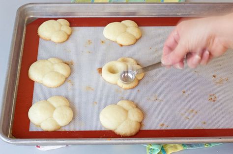 Bunny Paw Thumbprint Cookies thebearfootbaker.com Pawprint Cookies, Cookie Fillings, Everything Cookies, Paw Cookies, Mix Kids, Easter Cookie Recipes, Chocolate Marshmallow Cookies, Bunny Paws, Chocolate Chip Shortbread Cookies