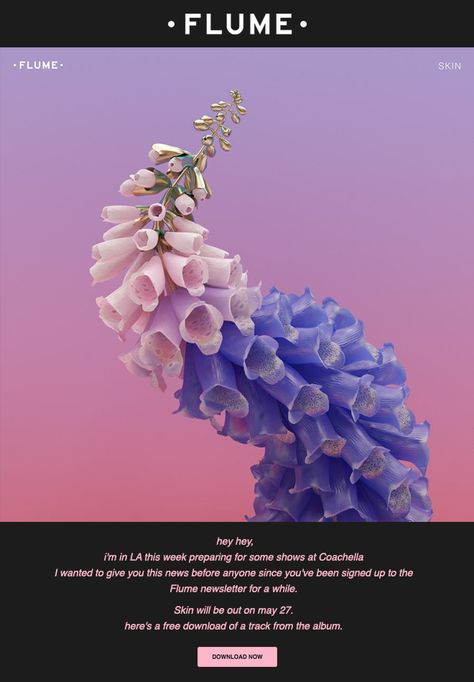 Flume brings down the house with the help of email marketing. Newsletter Inspiration, Alternative Artists, Be Positive, Email Marketing Campaign, Best Email, Flickr Photos, Email Design, Marketing Campaigns, Sweet Dreams