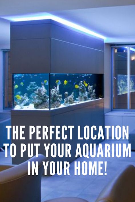 Fish are not like any other pet on earth! What makes them unique is that they live in a heavy glass rectangle filled with water. Remember: Once your aquarium is properly set up, it will need to be disassembled to move – even just a few inches. Not only is this a huge pain, but it will also stress the fish. Let's find the ideal place for your fish tank before you set it up.... #fishtank #fishaquarium #homedesign Where To Put Fish Tank In House, Large Aquarium In Living Room, Salt Water Fish Tank Ideas Living Rooms, Home Aquarium Living Rooms, Large Fish Tank Ideas, Home Fish Tank Ideas, Aquarium Bedroom, Modern Fish Tank, Nano Reef Tank