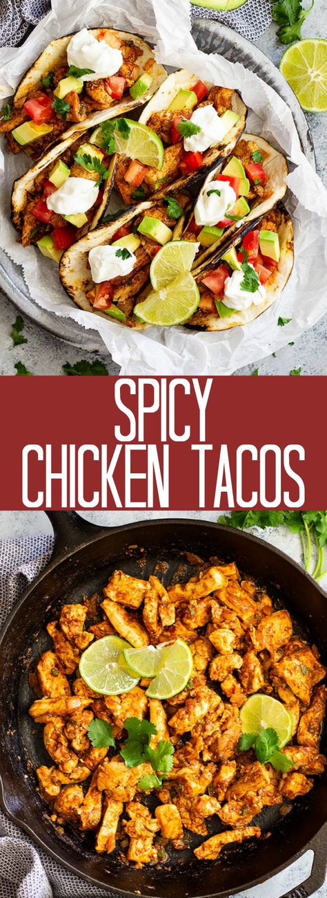 Spicy Chicken Avocado Tacos, Spicy Chicken Dinner Ideas, Spicy Taco Recipes, Spicy Chicken Tacos Crockpot, Cajun Chicken Tacos, Spicy Shredded Chicken Tacos, Spicy Chicken Tacos Recipes, Spicy Chicken Taco, Authentic Chicken Tacos