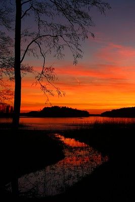 Sunset,Finland | Basri Ahmedov | Flickr Image Nature, Gorgeous Sunset, Sunset Wallpaper, Beautiful Sunrise, Sunset Pictures, Sunset Sky, Beautiful Sky, Sky Aesthetic, Nature Scenes