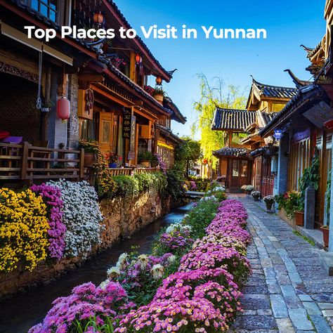 🌿 Ultimate Travel Guide to Yunnan, China 🌄 Yunnan Province, located in the southwestern part of China, is a paradise for travelers seeking diverse landscapes, rich ethnic cultures, and historical wonders. Known for its majestic mountains, ancient towns, and vibrant local traditions, Yunnan is one of the most popular destinations for both domestic and international travelers. In this guide, we’ll explore the best places to visit, how to get around, and tips to make your journey unforgettable.... Yunnan China, Majestic Mountains, Best Places To Visit, Cool Places To Visit, Travel Guide, The Good Place, Most Popular, Paradise, Places To Visit